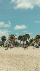 people on the beach