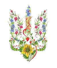 Ukraine, symbol, emblem, - 534550582