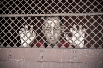 Close up of a mature businessman in a prison cell or in a psychiatric hospital with a mental illness