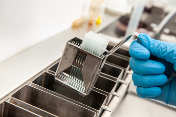 Scientist dewaxing paraffin embedded tissue samples in the laboratory. Xylene-based removal of paraffin. - obrazy, fototapety, plakaty