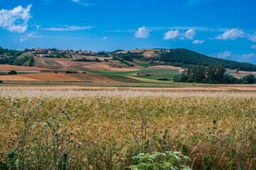 Colfiorito. Fields of flowers and nature of Umbria