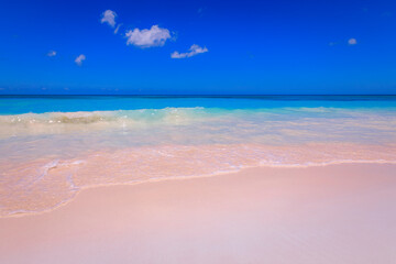 Fototapeta na wymiar Tropical caribbean and turquoise beach, Punta Cana, Dominican Republic