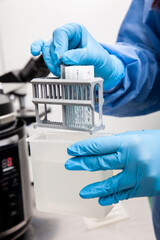 Scientist preparing slides with tissue samples for immunohistochemistry assay. Scientist at the...