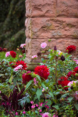 Colorful flowers by stone wall in park environment