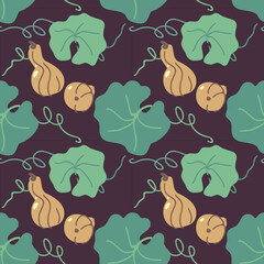 Seamless pattern with pear-shaped pumpkin on a dark background. Botanical illustration of a pumpkin in a flat cartoon style. Autumn harvest of pumpkins. Diet vegetarian vegetable for a healthy diet.