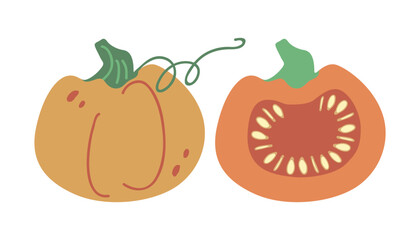 Whole and cut round orange pumpkin with seeds. Botanical illustration of a pumpkin in a flat cartoon style. The use of pumpkin in cooking. Diet vegetarian vegetable for a healthy diet.