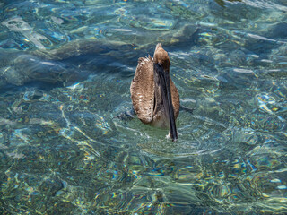  Views around the Caribbean island of Curacao