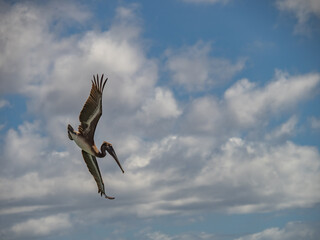  Views around the Caribbean island of Curacao
