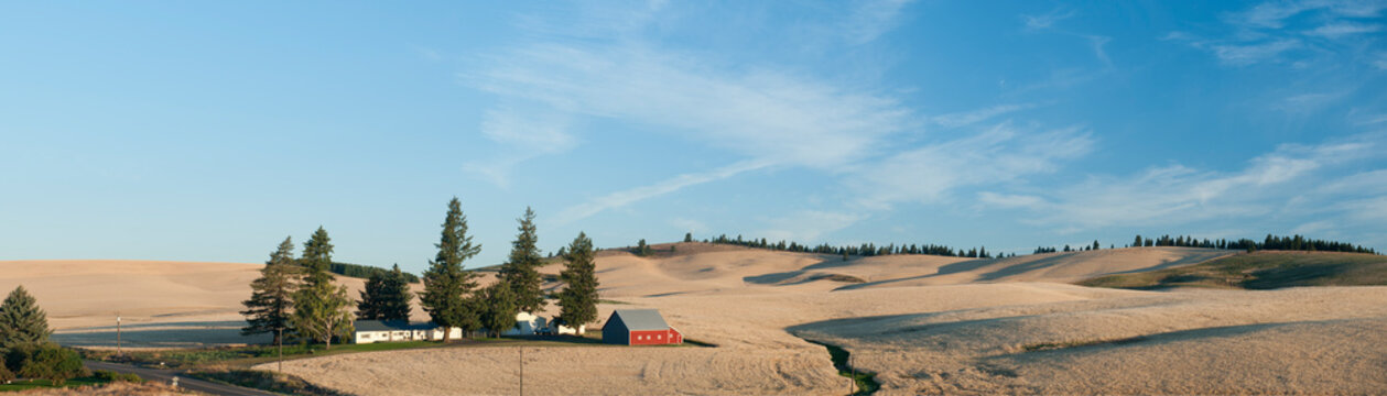 Panoramic view of a farming landscape, a red painted Dutch barn and farm buildings, a road, and undulating land and shadows, after the harvest.