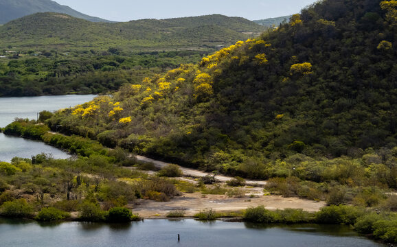  Views around the Caribbean island of Curacao