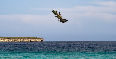  Views around the Caribbean island of Curacao