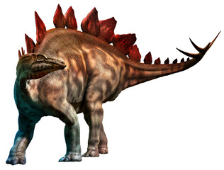 Stegosaurus from the Jurassic era 3D illustration		