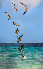  Views around the Caribbean island of Curacao