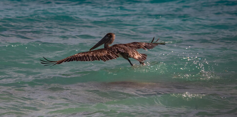  Views around the Caribbean island of Curacao