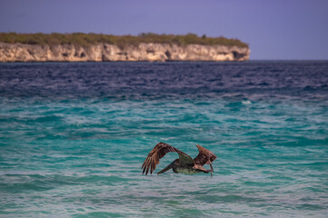  Views around the Caribbean island of Curacao