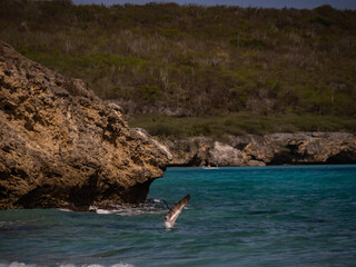  Views around the Caribbean island of Curacao
