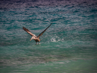 Fototapeta premium Views around the Caribbean island of Curacao