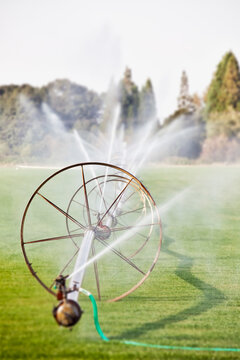 Water hoses on round frames spraying water jets in a field, commercial horticultural sprinklers and irrigation.