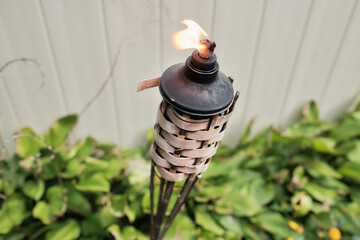 Insect repellent oil torch