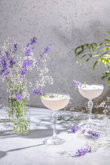 Two Elegant glasses of Lavender Cocktail or mocktails surrounded by ingredients and fresh lavender and gypsophila flowers on gray table surface
