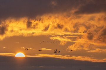 Himmel