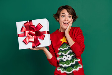 Photo of impressed funky lady wear red sweater hand cheek rising bow gift package isolated green...