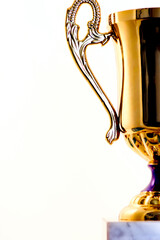 gold cup concept for winning and success in sport, life or business