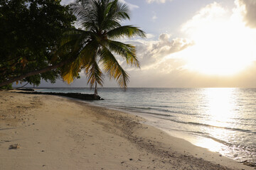 View of the beach with palm trees and the ocean at sunset on a resort island in the Maldives