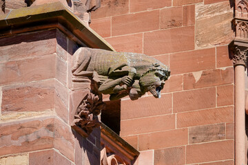 Mittelalterlicher Wasserspeier am Freiburger Münster  © Dieter Stahl
