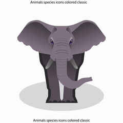 Animals species icons colored classic flat sketch