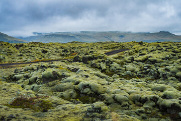 Mossy Lava Fields (Iceland)