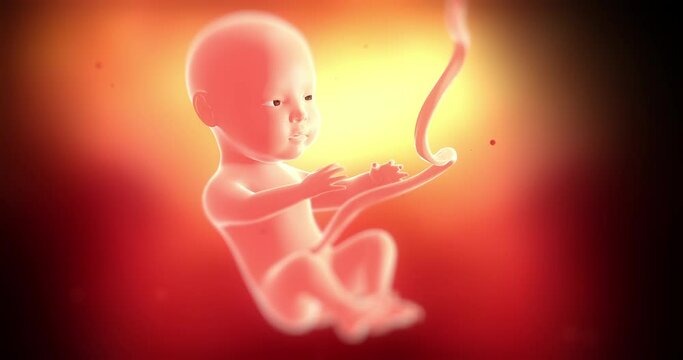 Baby fetus slowly moving inside of mother's womb. Eyes open. Ready to born. Science and health related 4k 3d animation.