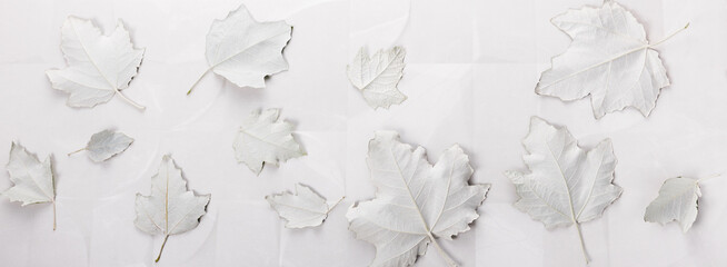 White leaves on marble background, texture surface, autumn, winter concept
