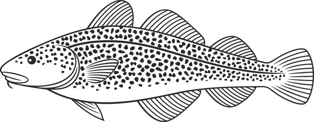 Atlantic cod outline. Isolated cod on white background