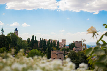 Vistas de La Alhambra con flores en primer plano desenfocadas