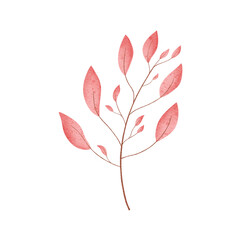 Autumn Pink Leave Watercolor Clipart