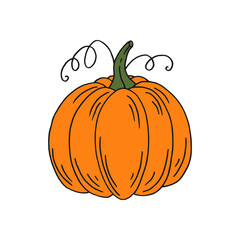 Pumpkin. Flat color icon. Thanksgiving design. Autumn pumpkin.