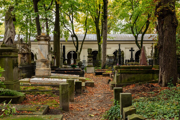 Zabytkowy cmentarz w centrum Warszawy. Stare Powązki.