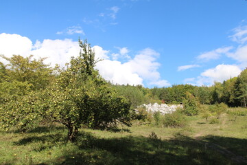 Karst landscape | Close to Bad Sachsa in the southern Harz Mountains | Harzer Grenzweg, Green Belt