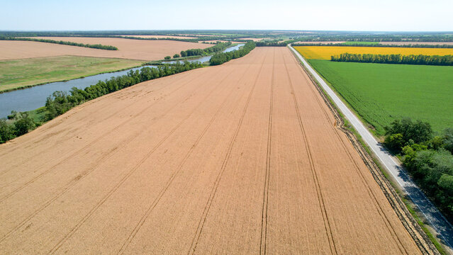 Road, Agriculture, field, wheat. Fields of wheat and corn in the fertile lands of endless Russia
