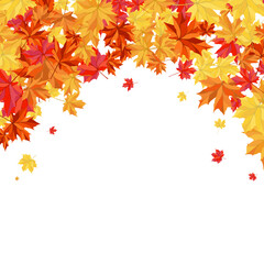 Fototapeta premium Autumn Maple Frame