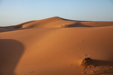 Fototapeta na wymiar Duna del desierto del Sahara. Sahara desert dune.