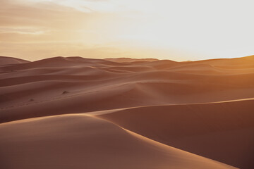 Fototapeta na wymiar Dunas del desierto al atardecer. Desert dunes at sunset.