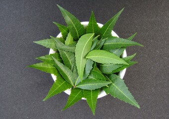 Neem leaves in a bowl top view 