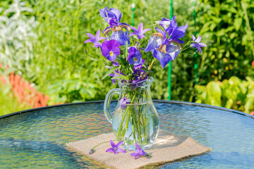 In a glass vase on a garden table, a freshly cut bouquet of blue Siberian iris with pansies.