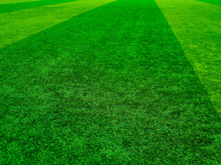 Green grass texture background grass garden concept used for making green background football pitch, Grass Golf, green lawn pattern textured background...