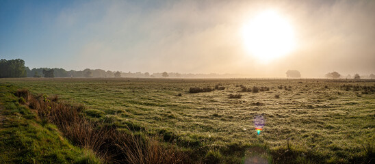 Pietzmoor im Nebel