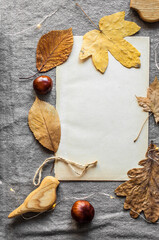 Autumn flatlay with still life of chestnuts, autumn leaves, wooden birds and old sheet of paper, top view.