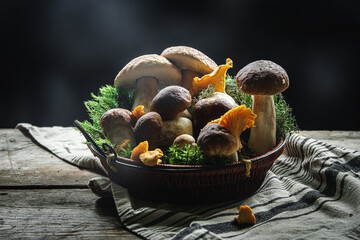 Basket with fresh handpicked porcini and chanterelles in moss on dark background.