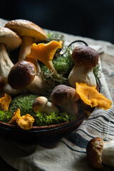Basket with fresh handpicked porcini and chanterelles in moss on dark background.